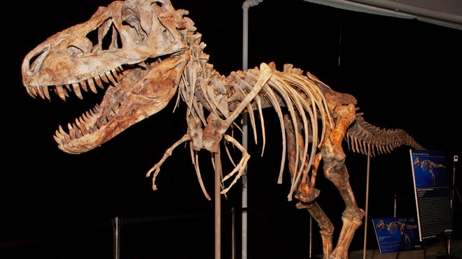 Dinosaur Dispute AP.jpg